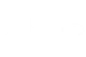 APUS Holding Logo